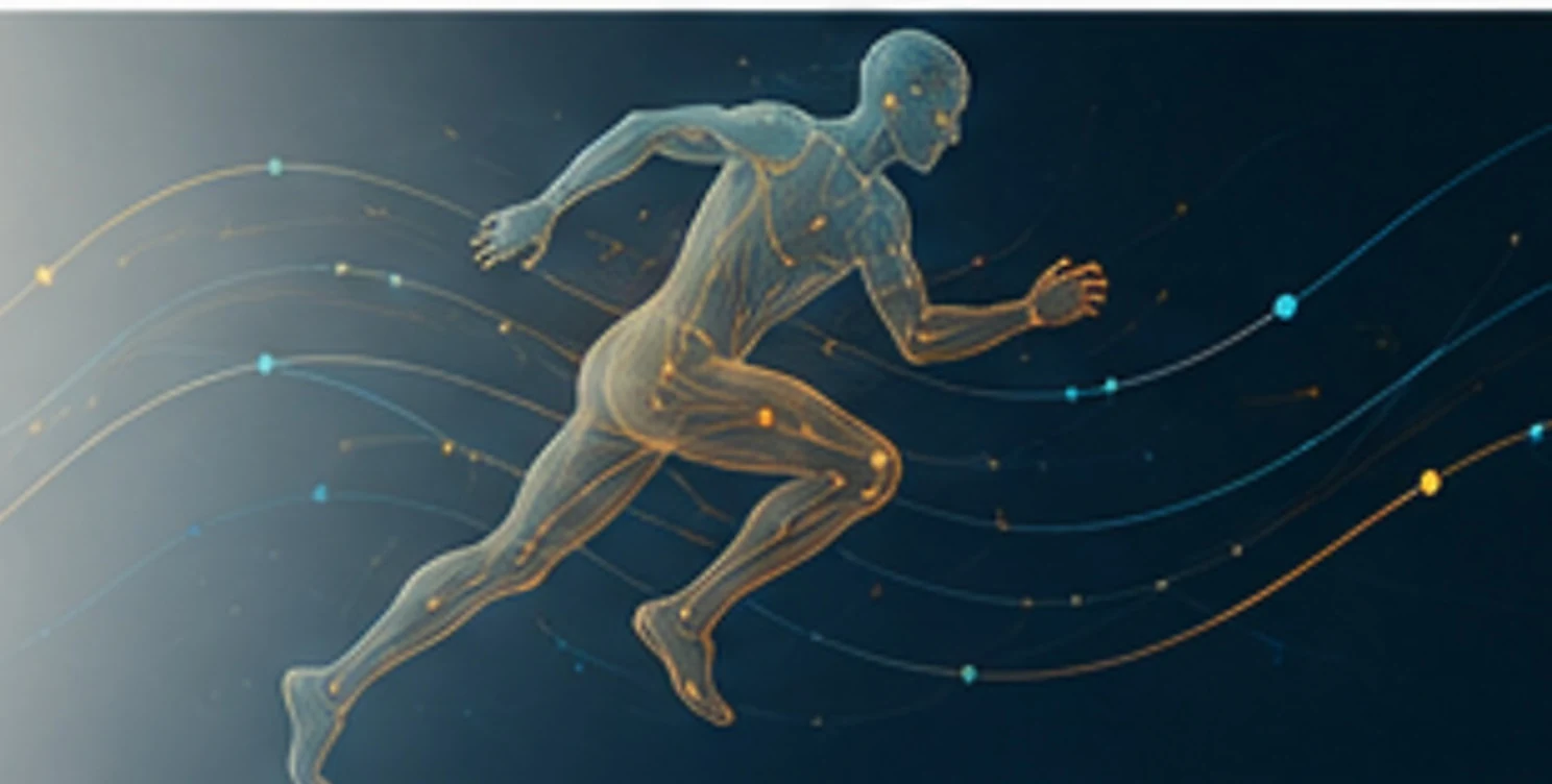 Digital human movement representation